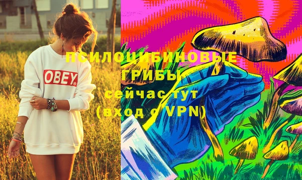 кокаин Каменка