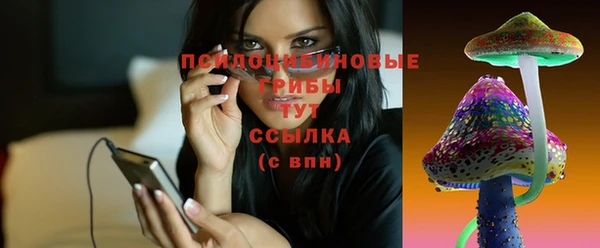 кокаин Каменка