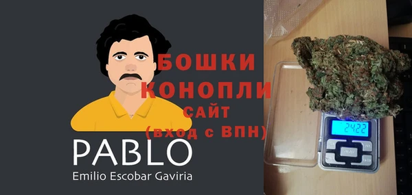 крисы Каменногорск