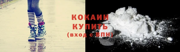 крисы Каменногорск