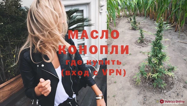 крисы Каменногорск