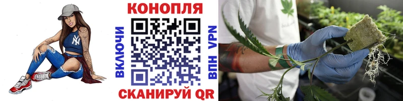 Каннабис Bruce Banner  Купить где  Орёл 